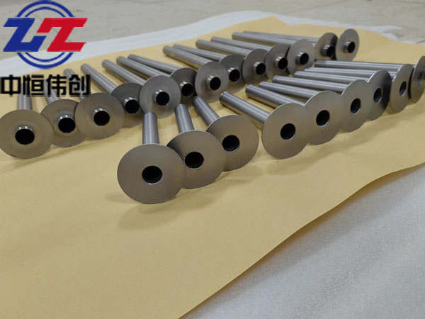 鉭保護(hù)管